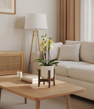 Load image into Gallery viewer, Cotton White stand:walnut