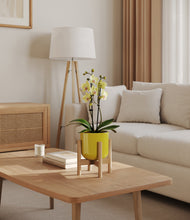 Load image into Gallery viewer, Key Lime Yellow stand:bamboo