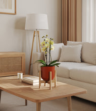 Load image into Gallery viewer, Earth Red stand:bamboo