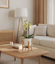 Load image into Gallery viewer, Natural Bamboo stand:bamboo