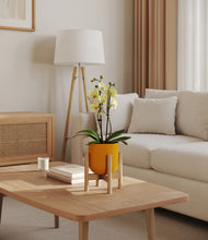 Load image into Gallery viewer, Sunset Orange stand:bamboo