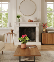 Load image into Gallery viewer, Lily Pad stand:one_stand