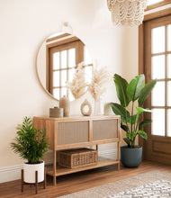 Load image into Gallery viewer, Aloe Vera stand:one_stand