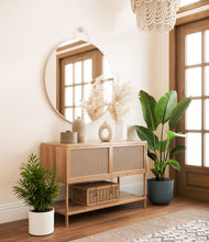 Load image into Gallery viewer, Aloe Vera