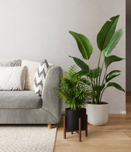 Load image into Gallery viewer, Orca stand:one_stand