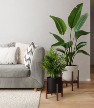 Load image into Gallery viewer, Orca stand:two_stands