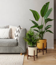 Load image into Gallery viewer, Tiger Lily stand:two_stands