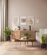 Load image into Gallery viewer, Charcoal stand:three_stands