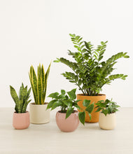 Load image into Gallery viewer, Evening Sky