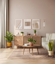 Load image into Gallery viewer, Enlightened Oasis