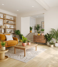 Load image into Gallery viewer, Evening Sky