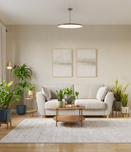 Load image into Gallery viewer, -