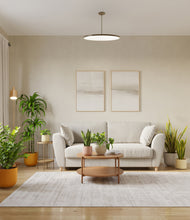 Load image into Gallery viewer, Evening Sky