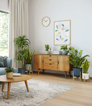 Load image into Gallery viewer, Earthy stand:three_stands