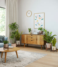 Load image into Gallery viewer, Sandy stand:five_stands