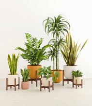 Load image into Gallery viewer, Evening Sky stand:five_stands