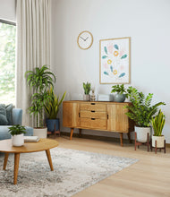 Load image into Gallery viewer, Soft Stone stand:three_stands