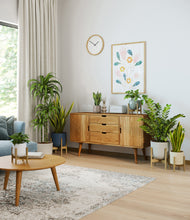 Load image into Gallery viewer, Soft Stone stand:five_stands