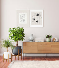 Load image into Gallery viewer, -