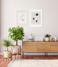 Load image into Gallery viewer, -