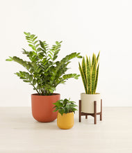 Load image into Gallery viewer, Evening Sky stand:one_stand