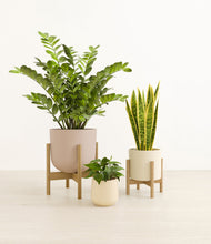 Load image into Gallery viewer, -