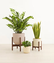 Load image into Gallery viewer, Sandy stand:two_stands