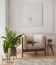 Load image into Gallery viewer, -