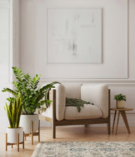 Load image into Gallery viewer, -