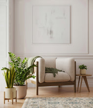 Load image into Gallery viewer, -