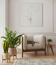 Load image into Gallery viewer, -