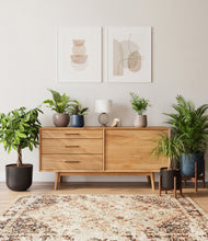 Load image into Gallery viewer, Charcoal stand:two_stands