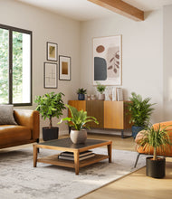 Load image into Gallery viewer, Charcoal