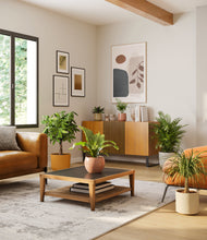 Load image into Gallery viewer, -