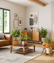 Load image into Gallery viewer, -