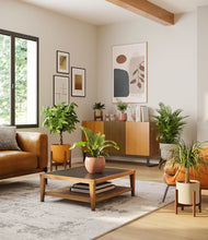 Load image into Gallery viewer, -