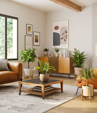 Load image into Gallery viewer, Sandy stand:four_stands