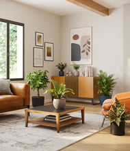 Load image into Gallery viewer, Charcoal