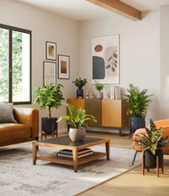 Load image into Gallery viewer, Charcoal stand:four_stands