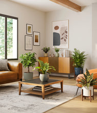 Load image into Gallery viewer, Earthy stand:two_stands