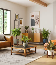 Load image into Gallery viewer, Earthy stand:four_stands