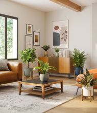 Load image into Gallery viewer, Earthy stand:four_stands