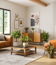 Load image into Gallery viewer, Woodland