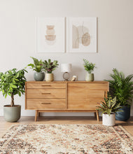 Load image into Gallery viewer, Earthy