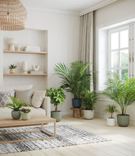 Load image into Gallery viewer, Earthy