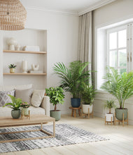 Load image into Gallery viewer, Earthy stand:four_stands