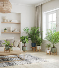 Load image into Gallery viewer, Earthy stand:six_stands