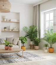 Load image into Gallery viewer, Evening Sky