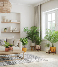 Load image into Gallery viewer, Evening Sky stand:four_stands