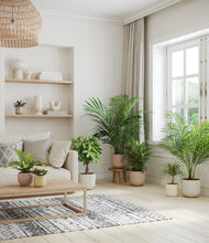 Load image into Gallery viewer, Sandy